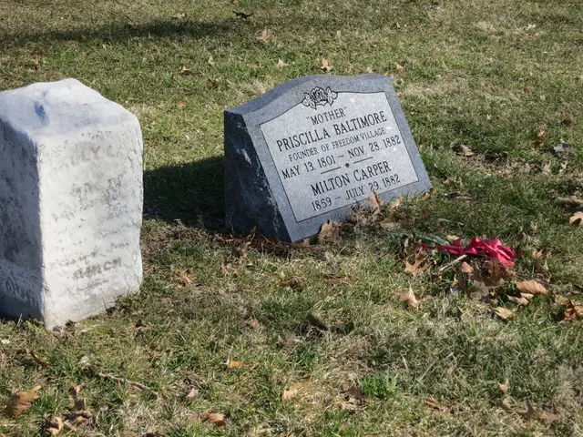 Low Maintenance Landscaping: The Attractive Choice with Gravel Gardens