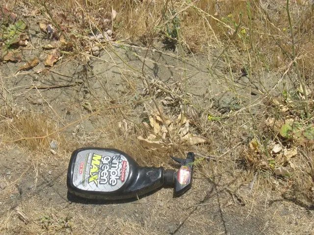 Enhancing Vegetal Development through Humic Acid Usage