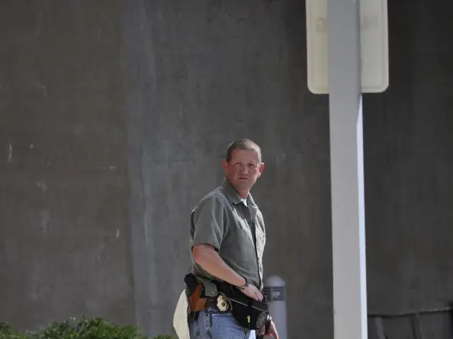 Stray Dog Found in Kötzting - Local Authorities Seek Owner's Identification