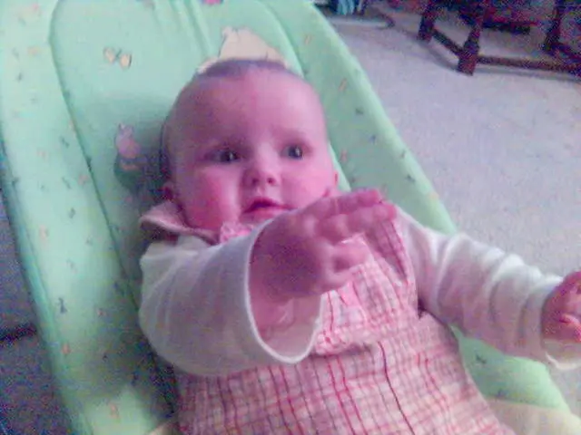 Infant Educational Course: Teaching Mini-Bugs to Toddlers Aged Three to Eight Months