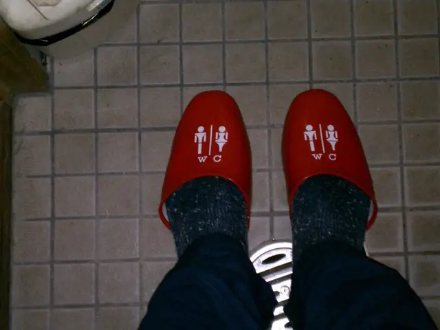 Ancient parquet flooring, lost for three decades, unearthed under the pair's carpeting.