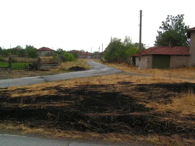 Obstructions planned for environmental preservation in 2025