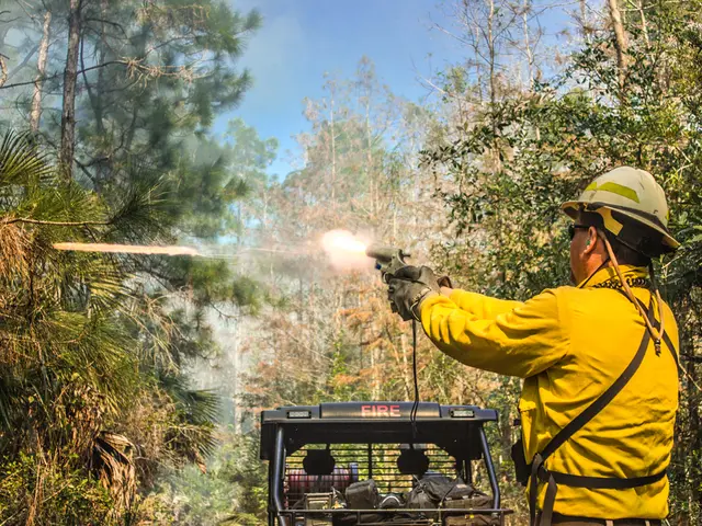 Elderly resident proposes barbecue prohibition, escalates tensions with neighbours over gas...