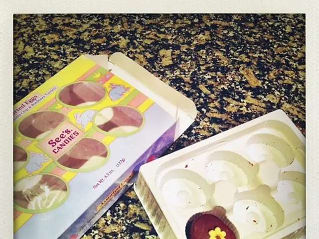 Visitors Savored by Degus from the Bird Park: The Charming Conquest of Degus