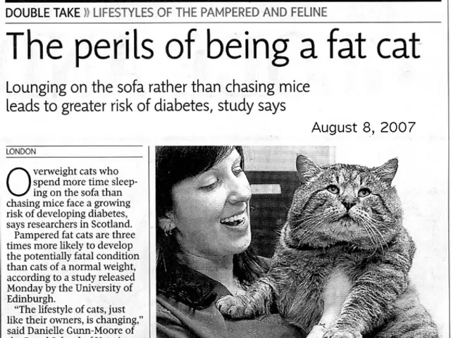 Emerging Europe's Human Talent Ranking: Estonia Leads World Bank's Newest Ranking, Romania Triggers...