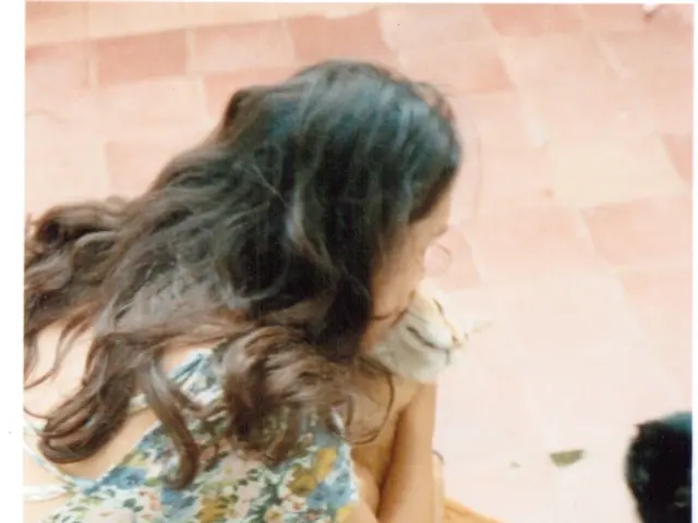 Neighbor's cat watching results in fatal consequences in 'Caught Stealing' incident