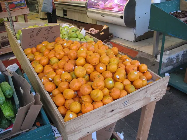 Shringar House of Mangalsutra Initial Public Offering (IPO) Prediction: The Jewelry Firm's IPO...