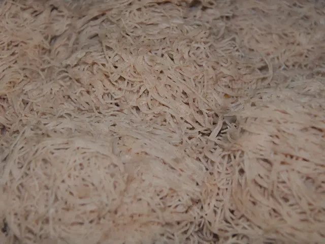 Examining the Unrealized Pledge of Noodles & Company: An In-depth Analysis