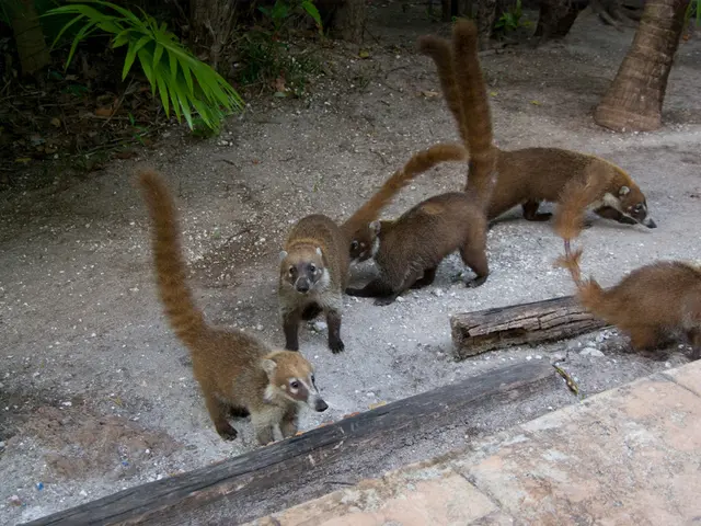 "Native fauna and flora"