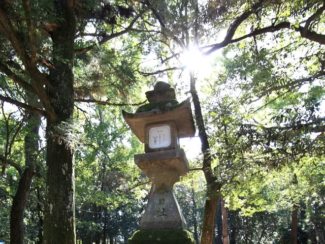 "Native fauna and flora population"