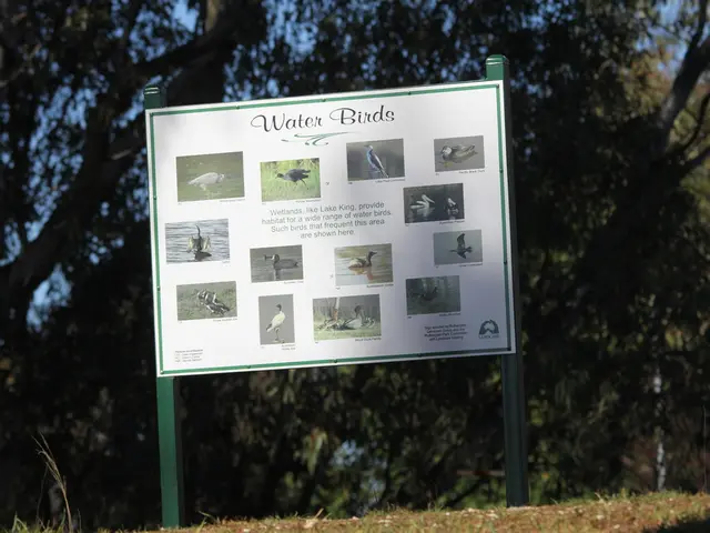 Safeguarding Avian Species: A Focus on Conservation Efforts