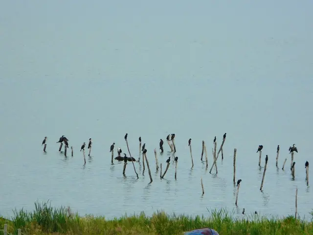 Discussion on Suffolk's Waterways