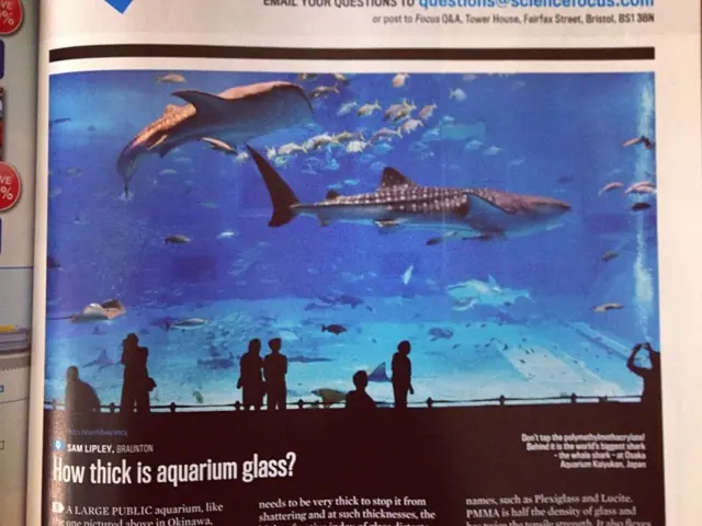 Thailand allegedly reverting to previous, detrimental practices in its fisheries, according to...