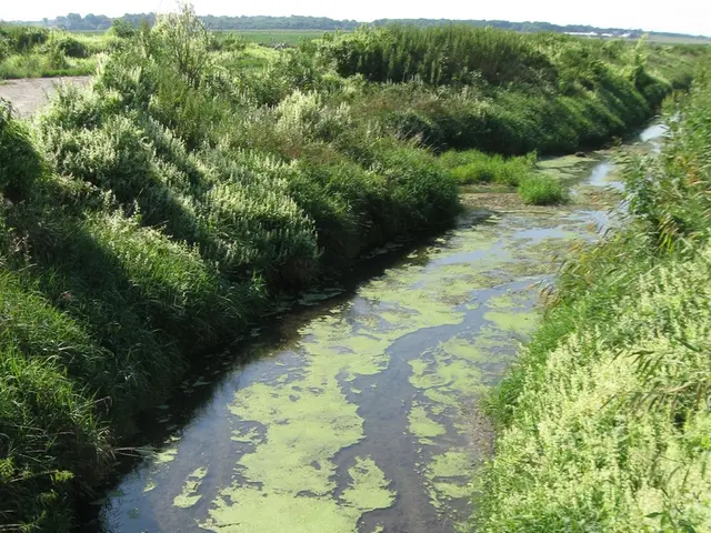 colorshift anticipated in Fort Lauderdale's water supply; concerns about potability surface among...