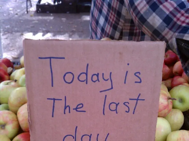 Offices run by the municipality will shut down sooner on the 10th of September.