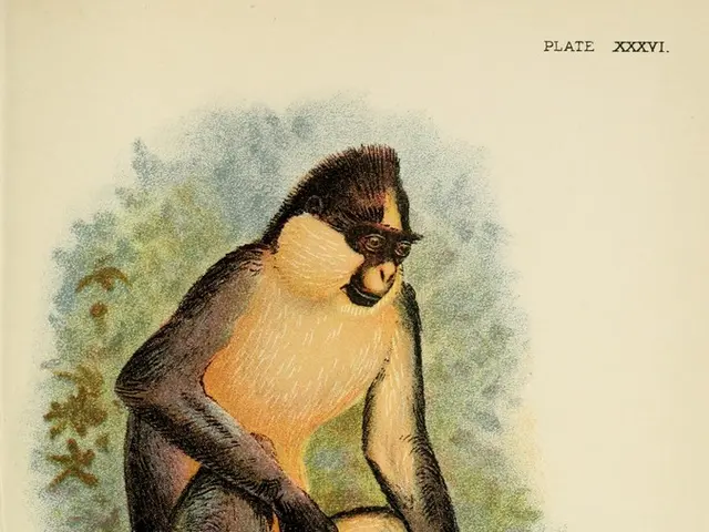 Uncovering the hidden symbols and messages within your subconscious night-time visions