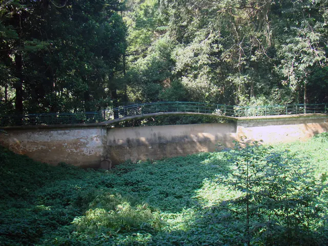 Ina Garten appears to have unlocked the formula for flawless privacy landscaping, as evidenced by...