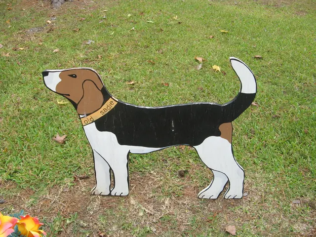 Dogecoin Signal Emerges on Important Meter During Market Slump