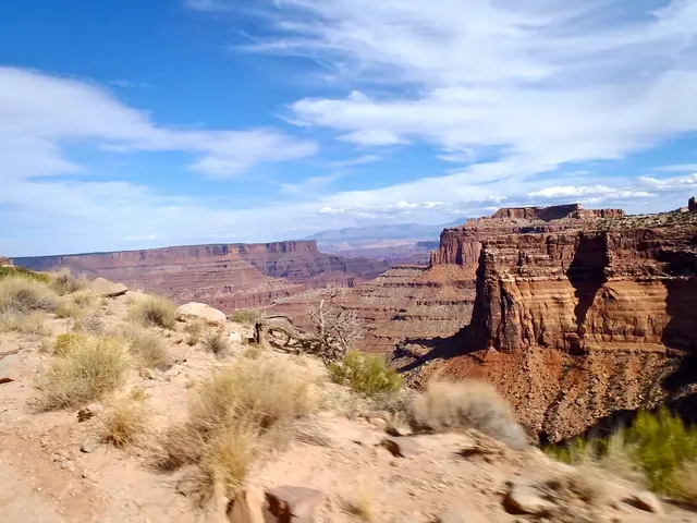 Hiking trails offering scenic views along Duisburg's lakefront, perfect for adventurous souls...
