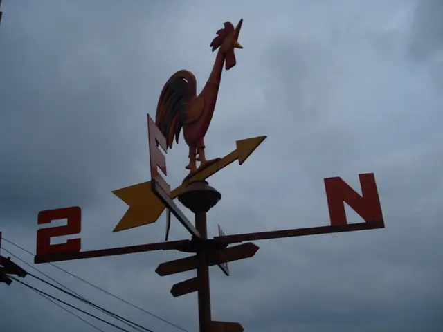 Probing the Unseen: investigating the extensive capabilities of magnetic sensors in switch...