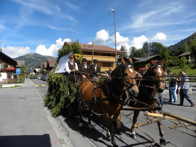 Caring for the Aged Equines: Insights on Treating Mature Horses