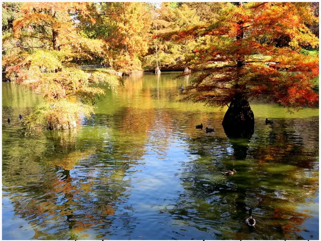 Flamingo juvenile eyes a stay in the Black Forest for the evening.