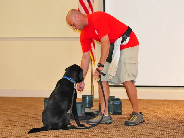 Hashish confiscated; Elderly man apprehended, weighing approximately several kilograms.