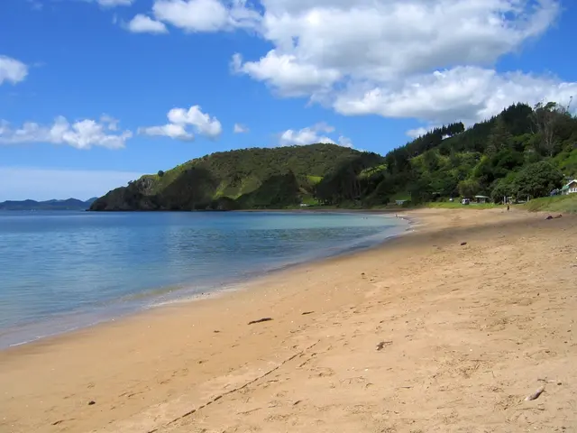 Investigation Focus: The Scripps Center for Marine Archaeology initiative delves into the mysteries...