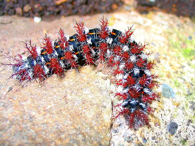 Unidentified creature of extraordinary rarity uncovered by a woman, leaving her astounded: "I've...