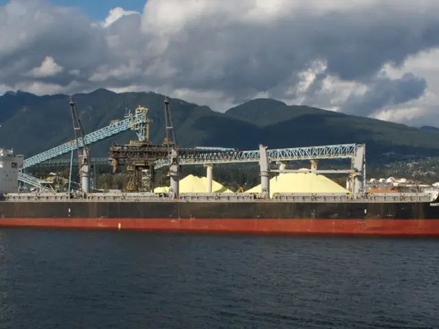 Mysterious Ocean Adventurer: The White-Whizzer Pirate's Bizarre Exploits in the Bermuda Triangle