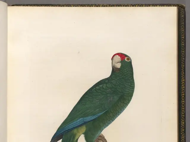 Prophet Odumeje Foretells His Own Imminent Demise, Anticipating His Body Will Remain Unseen by...