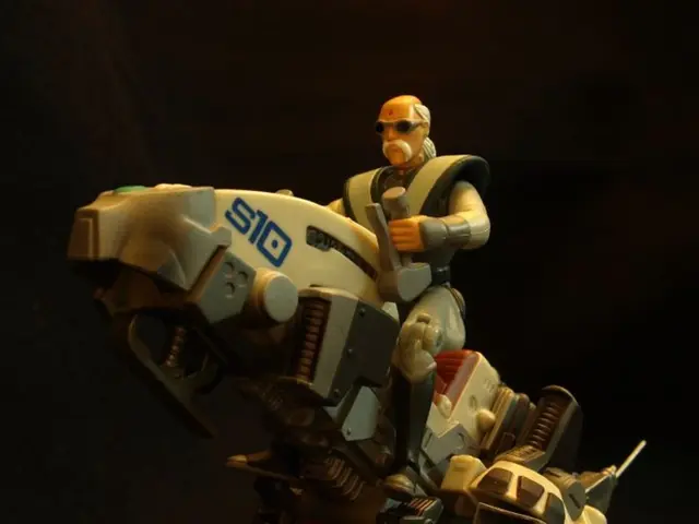 Concern Regarding the Future Performance of Tesla Shares