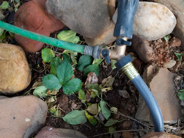 Opens a new Hydraulic Hose Manufacturing Facility in Aguascalientes, by Continental