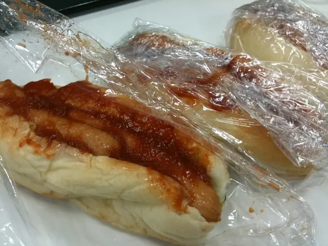 Feeding Fresh Food to Your Canine Companion While Traveling, Recommendations from a Training Expert