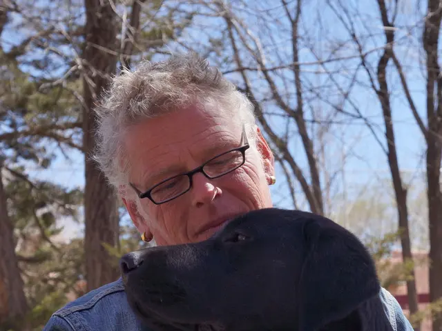 Canine Aging: Recognizing the Indications of Advanced Age in Dogs and Strategies for Support