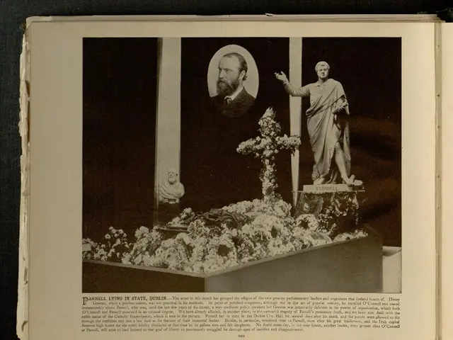 Informing the individual about the following details: