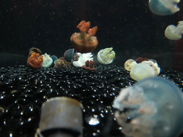 Deadly "Brain-Eating" Amoeba Infection Results in Fifth Death in Kerala