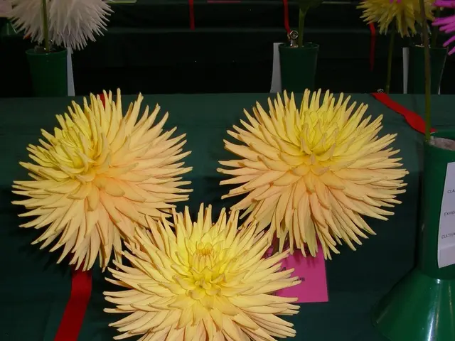 Bloom Encounters Container