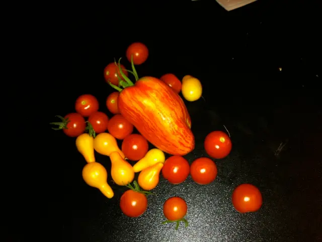 Gathering Ripest Fruits and Berries at Their Optimal Stage