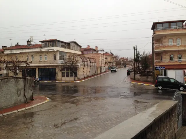 International Delay May Lead to Loss in the Worldwide Competition of Electric Vehicles