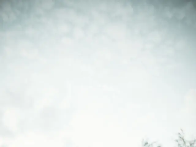 Overcast Weather Predicted for Our Lady of Glory on the Eighth of This Month