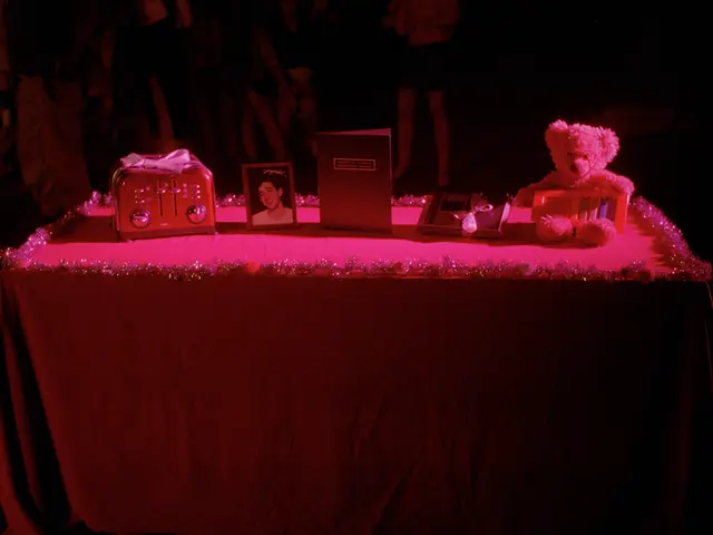 Royal Visit of Prince Harry; Setting Boundaries?