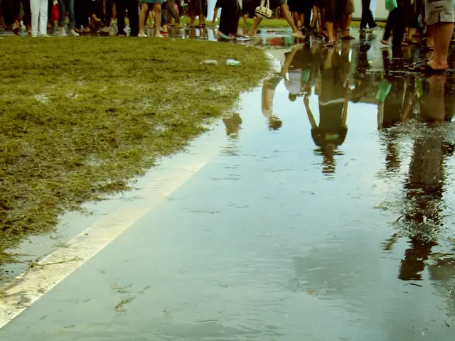 Comprehensive Overview: Grass Network (GRASS) Explained in Full Detail