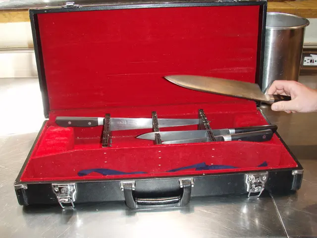 Unclaimed Suitcase Leads to Investigation by Federal Police for Possible Decarceration in BPOL NRW