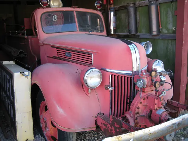 Commission's Role in Drafting Report on Environmental Policy Implementation