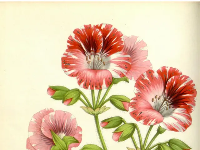 Creative artist crafts intricate, nature-based works from her personal garden