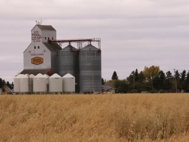 Saudi Arabia decreases oil prices for Asia deliveries in October