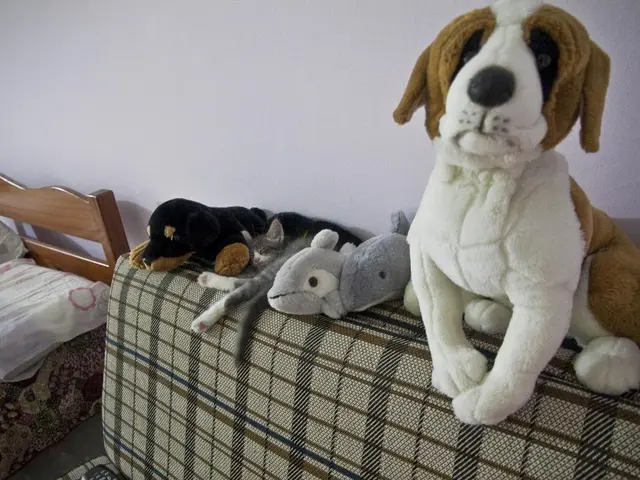 Considering Space Constraints in a Tight Living Room: Experts Share 7 Tips for Achieving a...