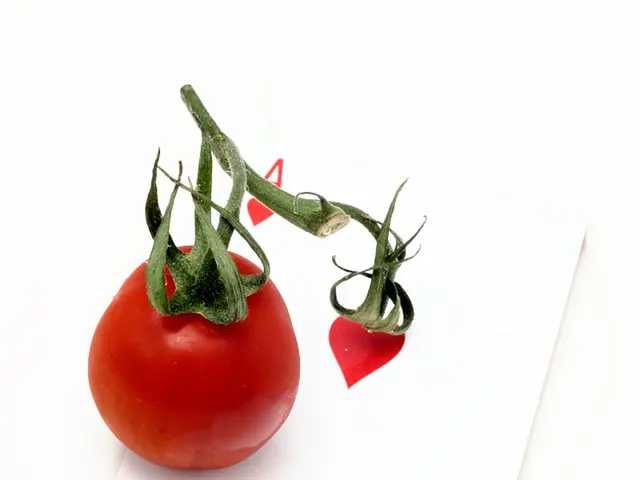 Multiplayer Game Collection: Offerings from Yggdrasil Gaming Focused on Fruit-themed Titles