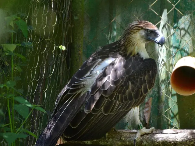 Bird feeders can greatly benefit from certain plant species, as suggested by experts. Here are the...